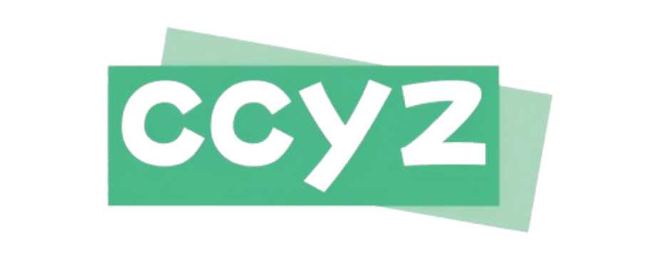 2026年CCYZ机场评测，展示高性价比VPN服务